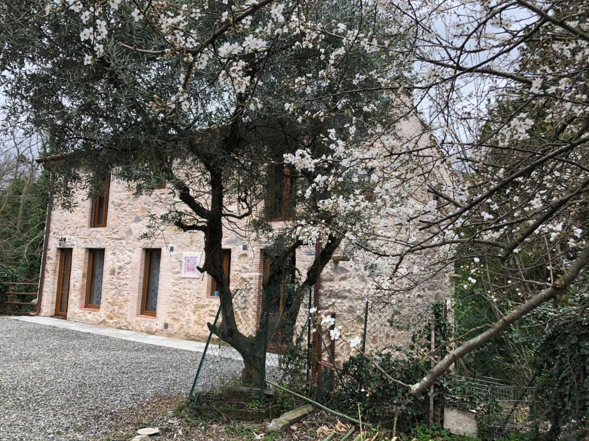 Dolce Vita In Tuscany Cottage 卡潘诺里 外观 照片