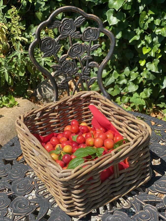 Dolce Vita In Tuscany Cottage 卡潘诺里 外观 照片