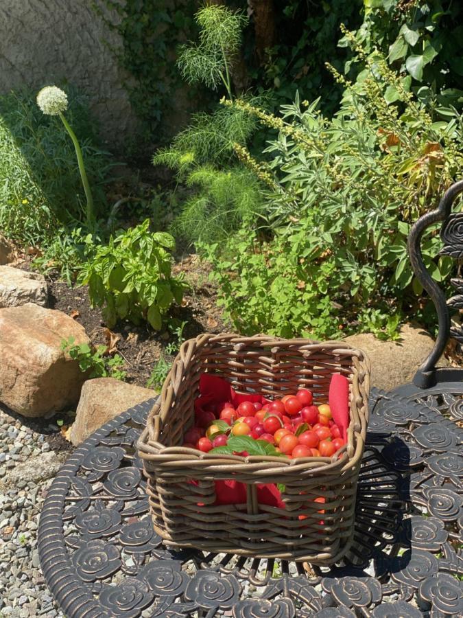 Dolce Vita In Tuscany Cottage 卡潘诺里 外观 照片