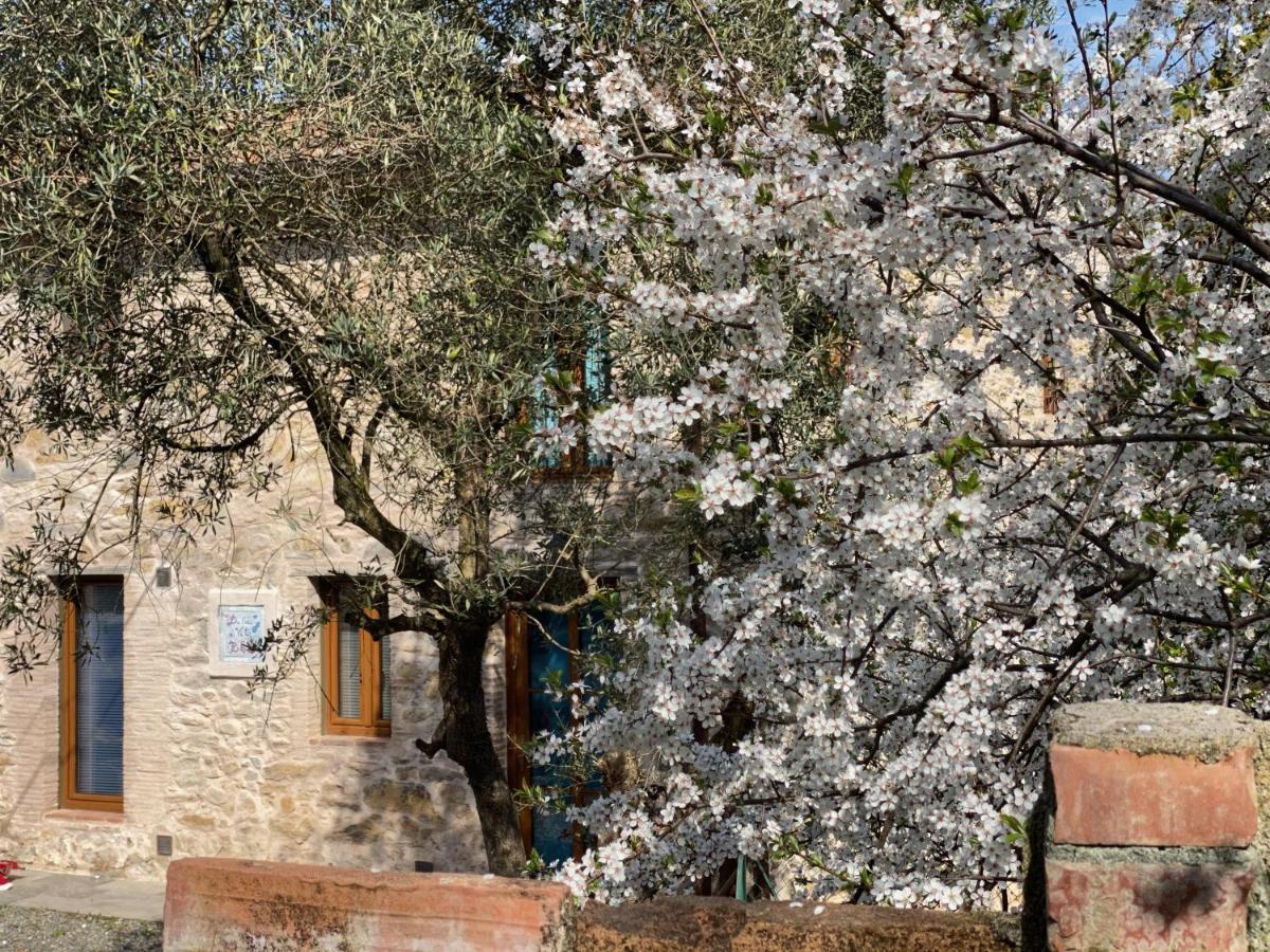 Dolce Vita In Tuscany Cottage 卡潘诺里 外观 照片