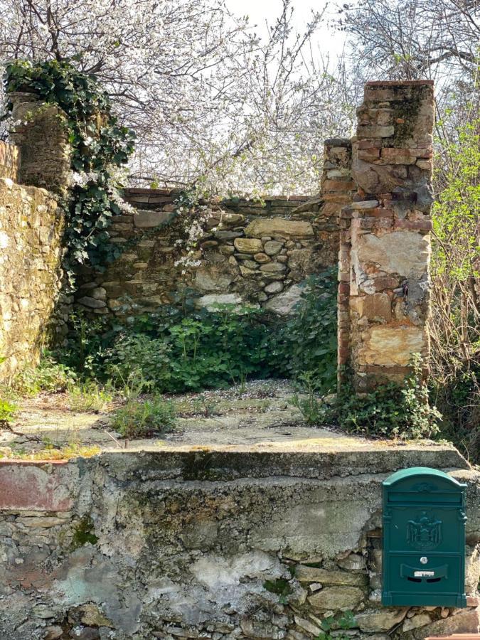 Dolce Vita In Tuscany Cottage 卡潘诺里 外观 照片