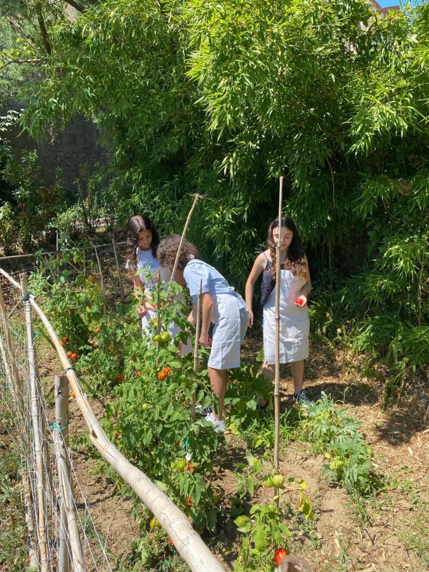 Dolce Vita In Tuscany Cottage 卡潘诺里 外观 照片
